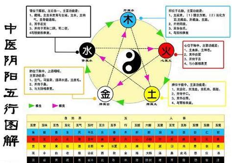 木生火 火生土 土生金 金生水|深度解析五行生克的关系